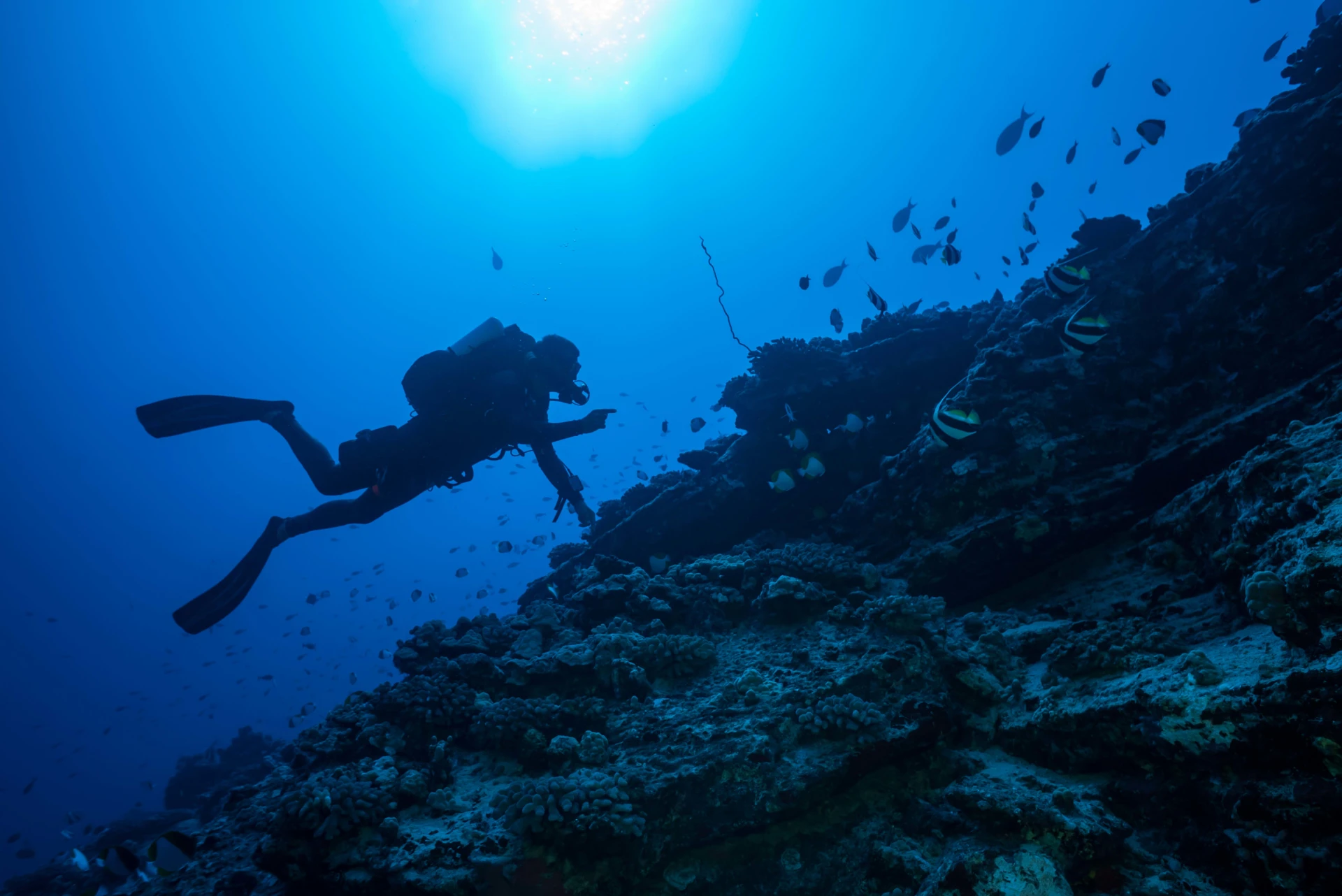 Experience Kaua‘i’s Underwater World: Top Spots for Snorkeling and Scuba Diving
